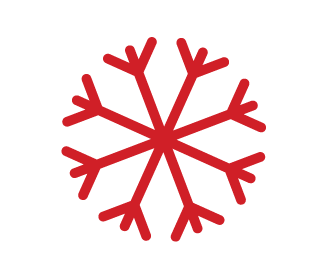 snow-flake-icon